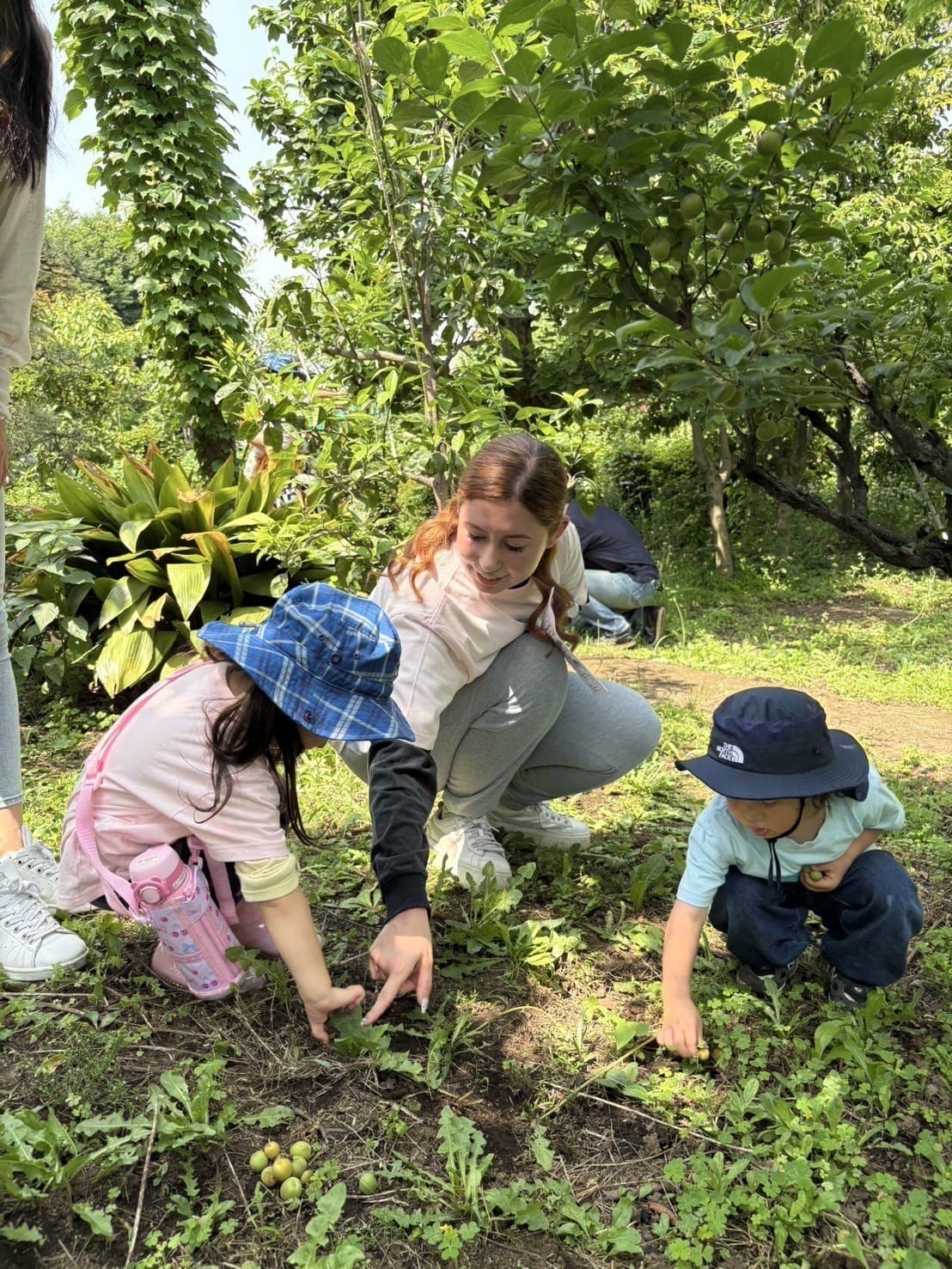 インターナショナルスクール　碑文谷　都立大学　目黒　internationalschool　megro toritudaigaku himonnya