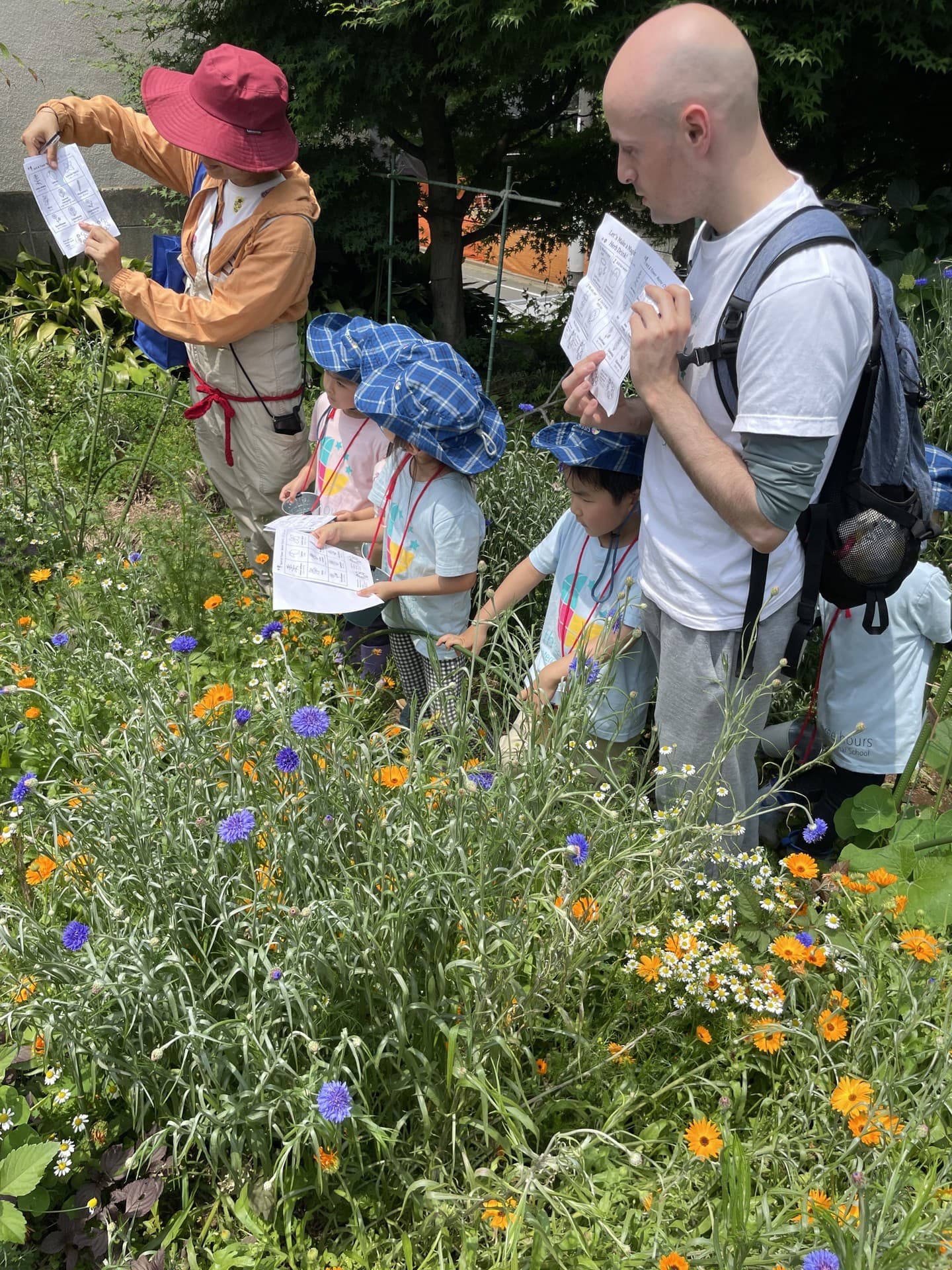 インターナショナルスクール　碑文谷　都立大学　目黒　internationalschool　megro toritudaigaku himonnya