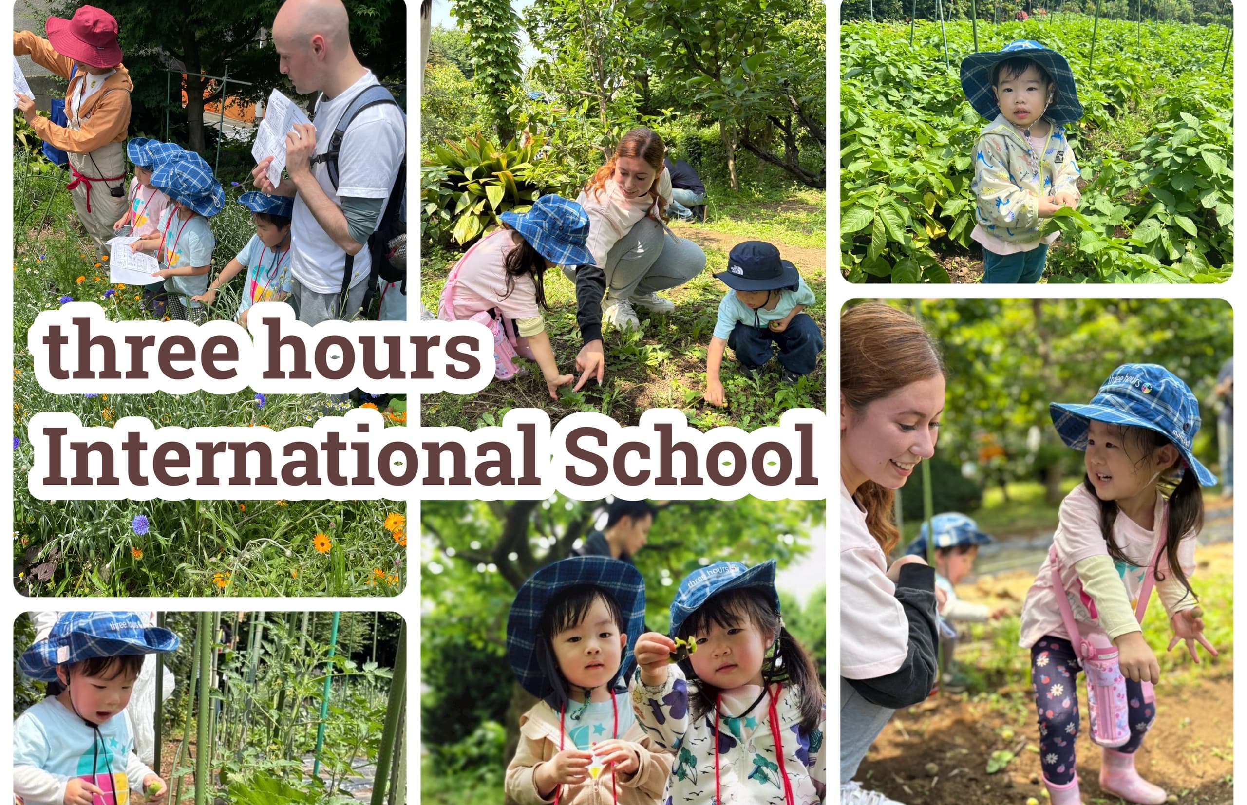 インターナショナルスクール　碑文谷　都立大学　目黒　internationalschool　megro toritudaigaku himonnya