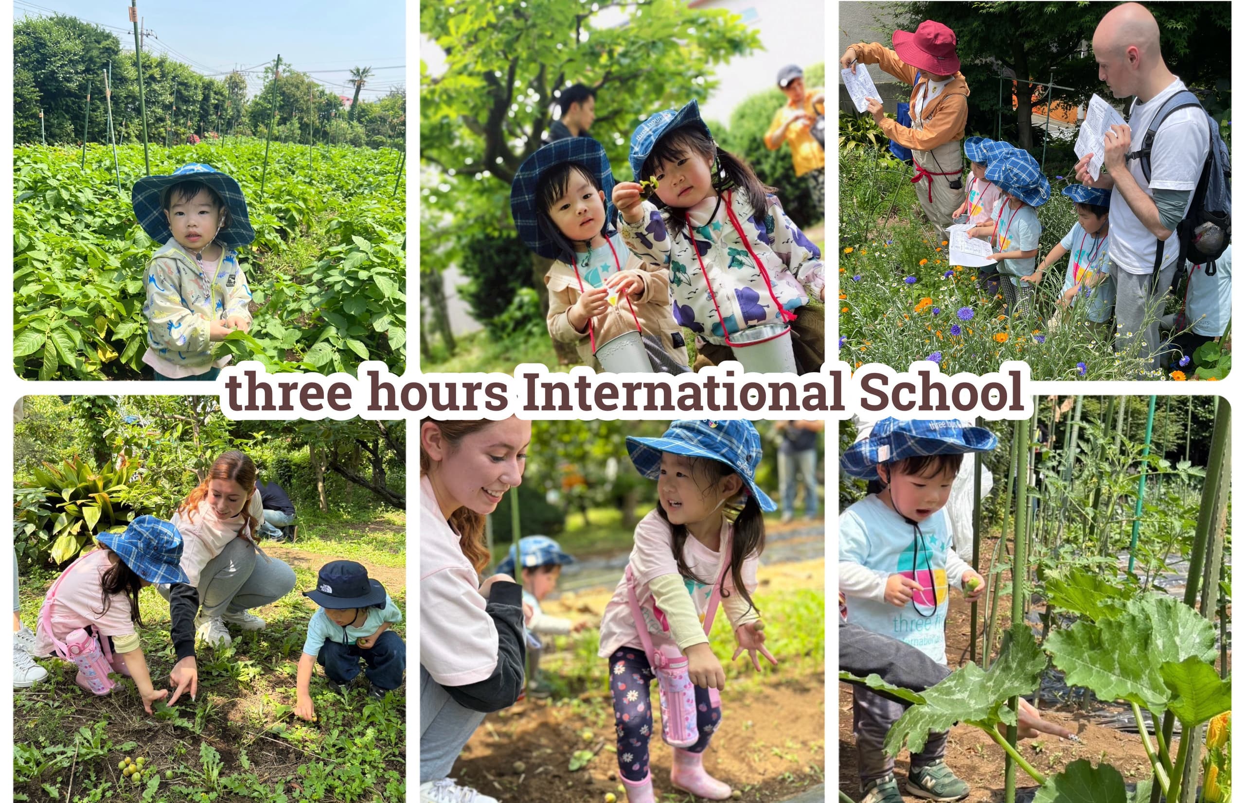 インターナショナルスクール　碑文谷　都立大学　目黒　internationalschool　megro toritudaigaku himonnya